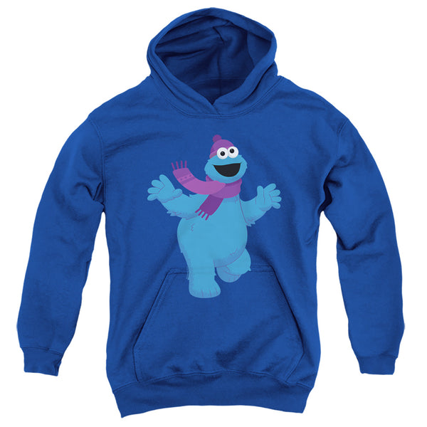 Sesame Street - Furry Friends Forever! Cookie Monster Youth Hooded Sweatshirt