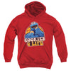 Sesame Street - Cookies 4 Life Youth Hooded Sweatshirt