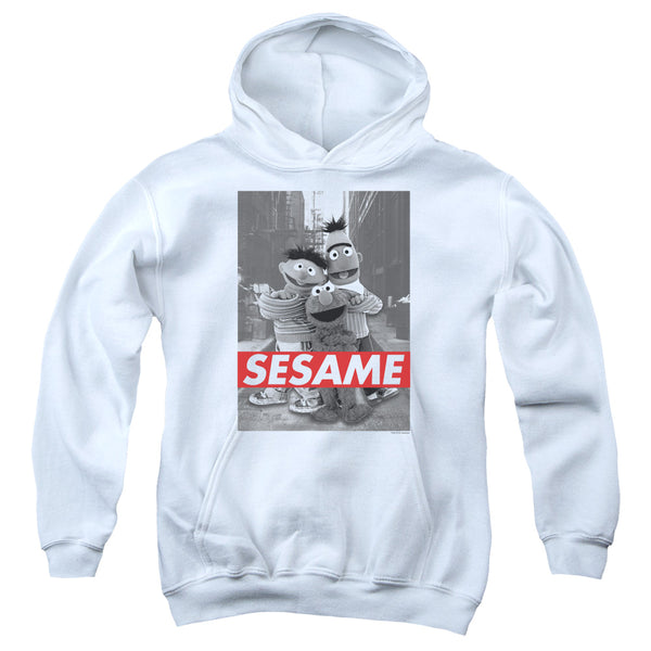 Sesame Street - Sesame Youth Hooded Sweatshirt