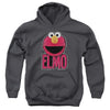 Sesame Street - Elmo Smile Youth Hooded Sweatshirt