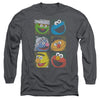 Sesame Street - Group Squares Adult Long Sleeve