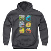 Sesame Street - Group Squares Youth Hooded Sweatshirt