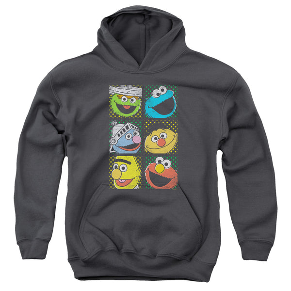 Sesame Street - Group Squares Youth Hooded Sweatshirt