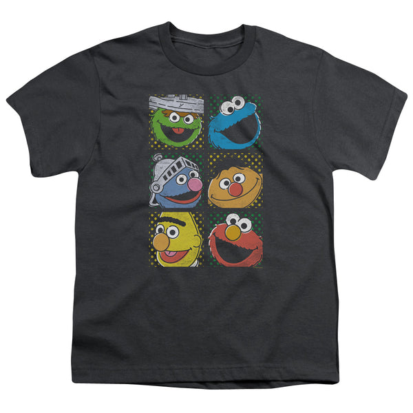 Sesame Street - Group Squares Youth Short Sleeve