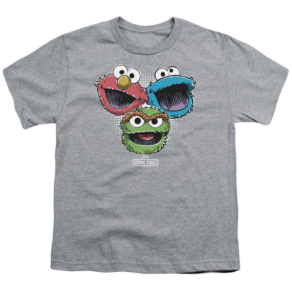 Sesame Street - Halftone Heads Youth Short Sleeve