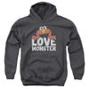 Sesame Street - Love Monster Youth Hooded Sweatshirt