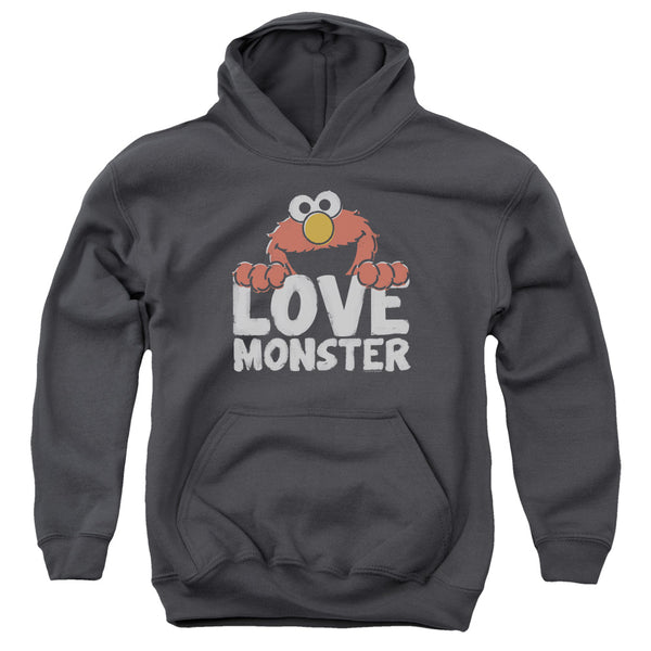 Sesame Street - Love Monster Youth Hooded Sweatshirt