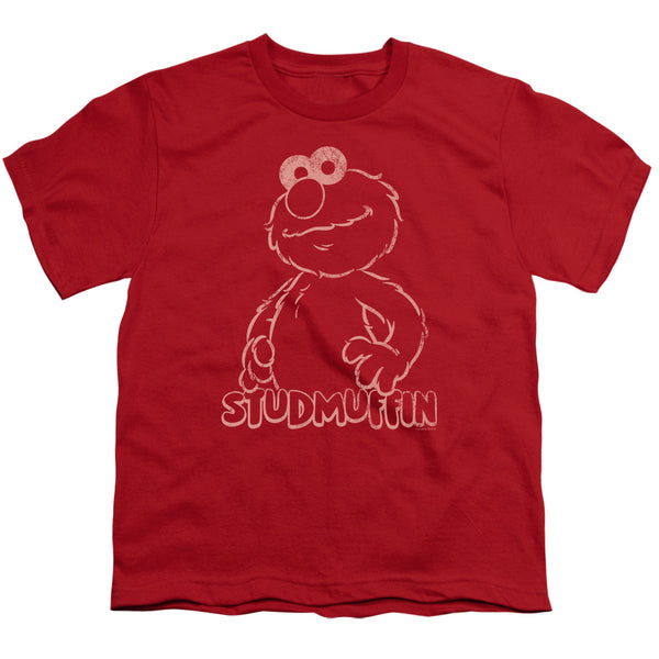 Sesame Street - Studmuffin Youth Short Sleeve