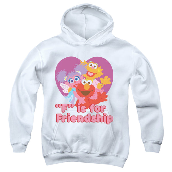 Sesame Street - Friendship Youth Hooded Sweatshirt