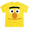 Sesame Street - Bert Face Youth Short Sleeve