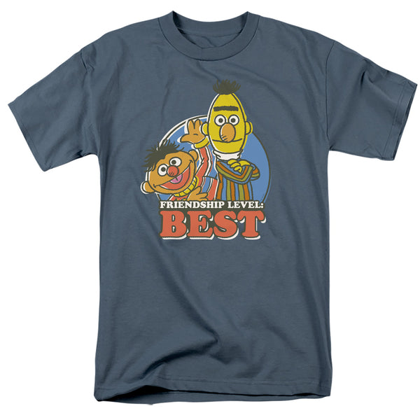 Sesame Street - Bert & Ernie Friendship Level: Best Adult Regular Fit Short Sleeve