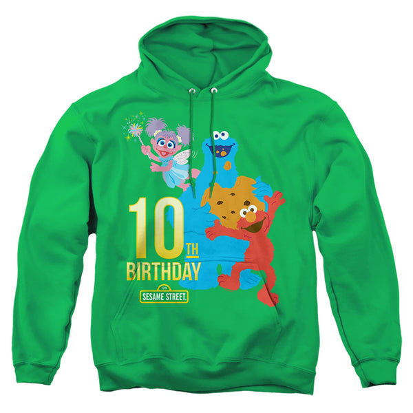 Sesame Street - 10Th Birthday Adult Pullover Hoodie