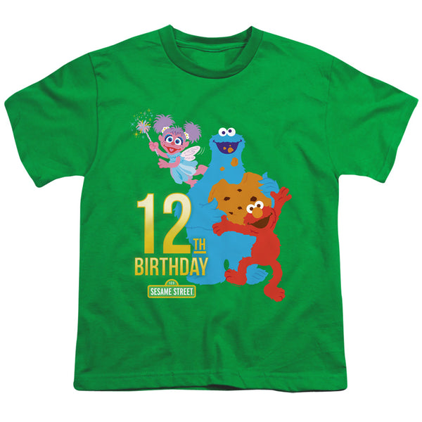 Sesame Street - 12Th Birthday Youth Short Sleeve