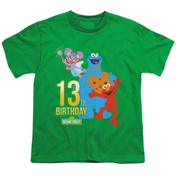 Sesame Street - 13Th Birthday Youth Short Sleeve