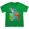 Sesame Street - 16Th Birthday Youth Short Sleeve