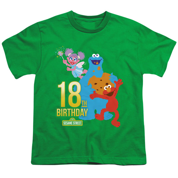 Sesame Street - 18Th Birthday Youth Short Sleeve