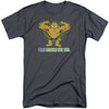 Garfield tall shirts