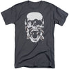 Green Lantern tall shirts