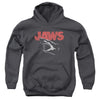 Jaws - Cracked Jaw Youth Hooded Sweatshirt