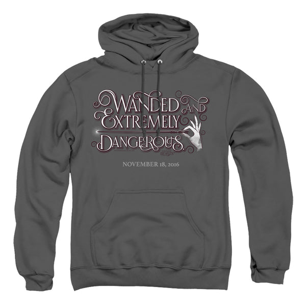 Fantastic Beasts - Wanded Adult Pullover Hoodie