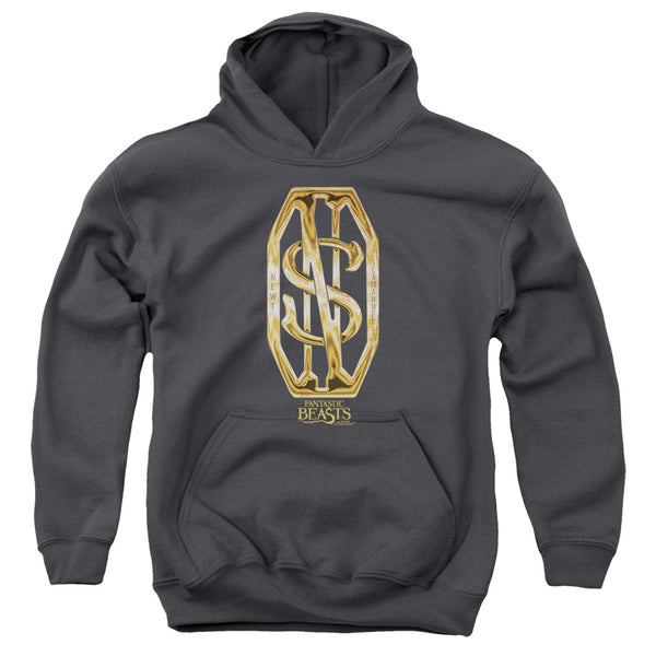 Fantastic Beasts - Scamander Monogram Youth Hooded Sweatshirt