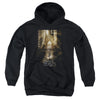 Fantastic Beasts - Poster Youth Hooded Sweatshirt