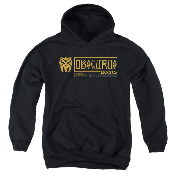 Fantastic Beasts The Secrets Of Dumbledore - Obscurus Books Logo Youth Hooded Sweatshirt