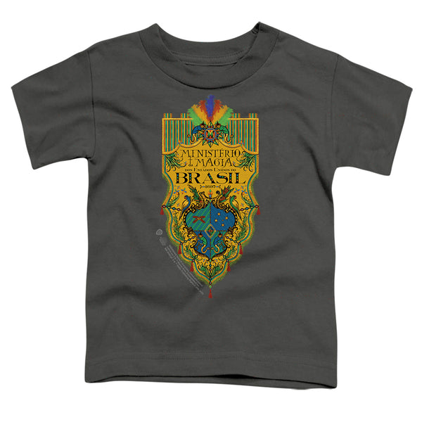 Fantastic Beasts The Secrets Of Dumbledore - Brazil Ministry Flag Toddler Short Sleeve