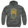 Fantastic Beasts The Secrets Of Dumbledore - Brazil Ministry Flag Youth Hooded Sweatshirt
