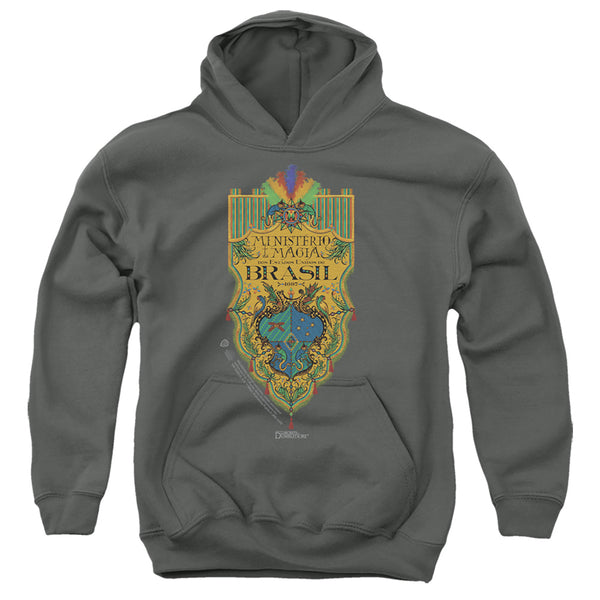 Fantastic Beasts The Secrets Of Dumbledore - Brazil Ministry Flag Youth Hooded Sweatshirt