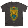 Fantastic Beasts The Secrets Of Dumbledore - Brazil Ministry Flag Youth Short Sleeve