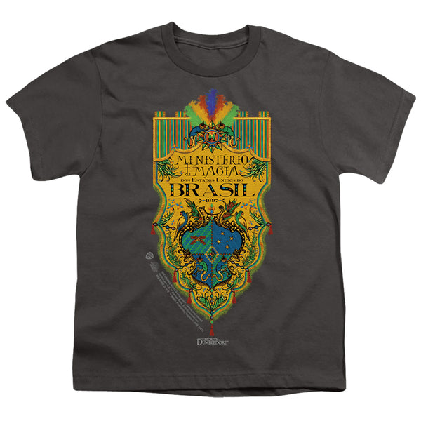 Fantastic Beasts The Secrets Of Dumbledore - Brazil Ministry Flag Youth Short Sleeve