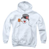 Frosty The Snowman - Frosty Face Youth Hooded Sweatshirt