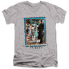 Friends - Any More Clothes Adult Slim Fit V Neck Cotton