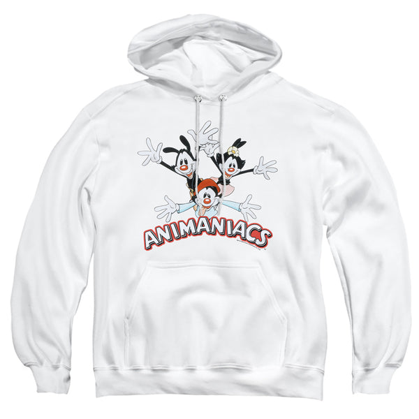 Animaniacs - Animaniacs Trio Adult Pullover Hoodie
