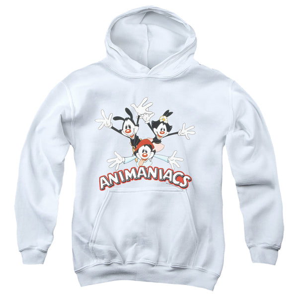 Animaniacs - Animaniacs Trio Youth Hooded Sweatshirt