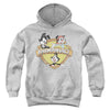 Animaniacs - Shielded Animaniacs Youth Hooded Sweatshirt