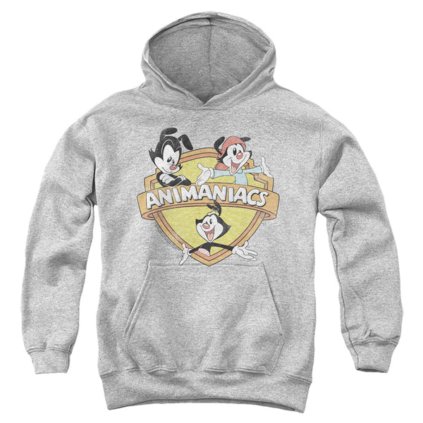 Animaniacs - Shielded Animaniacs Youth Hooded Sweatshirt