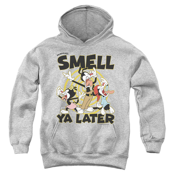 Animaniacs - Smell Ya Later Youth Hooded Sweatshirt