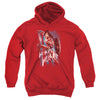 Wonder Woman Movie - American Hero Youth Hooded Sweatshirt