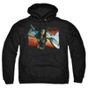 Wonder Woman Movie - Warrior Woman Adult Pullover Hoodie