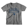 Arcadia NP Collegiate- National Parks Toddler T-Shirt