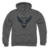 Air Force - Incoming Adult Pullover Hoodie