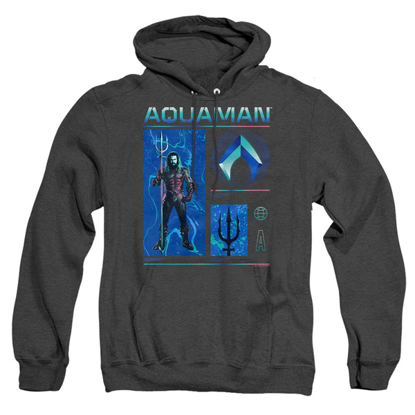 Aquaman And The Lost Kingdom - Aquaman Stats Adult Heather Hoodie