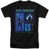 Aquaman And The Lost Kingdom - Aquaman Stats Adult Tall Fit Short Sleeve