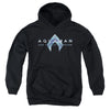 Aquaman And The Lost Kingdom - Logo Youth Hooded Sweatshirt