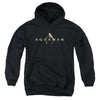 Aquaman Movie - Logo Youth Hooded Sweatshirt
