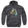 Aquaman Movie - Water Shield Youth Hooded Sweatshirt