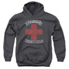 Bon Jovi - Bad Medicine Youth Hooded Sweatshirt