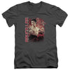 Bruce Lee - Fury Adult Slim Fit V Neck Cotton